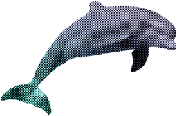 Dolphin icon
